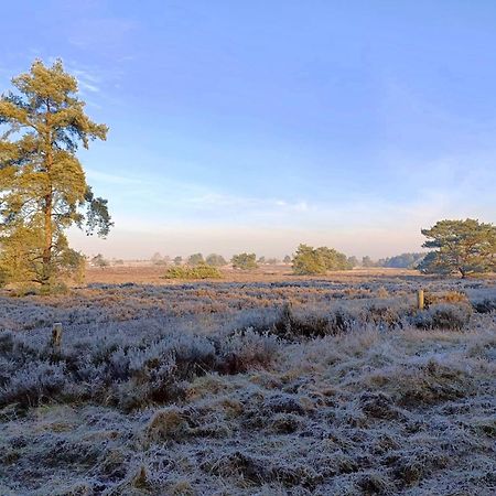 Chalet 42 'Vuursteenberg' Bospark Ijsselheide Zwolle Hattemerbroek Eksteriør billede