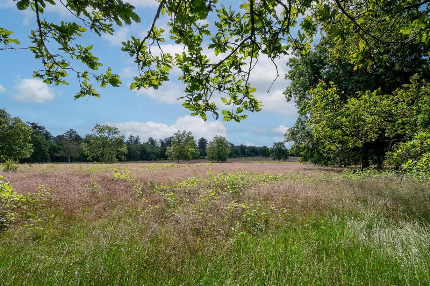 Chalet 42 'Vuursteenberg' Bospark Ijsselheide Zwolle Hattemerbroek Eksteriør billede