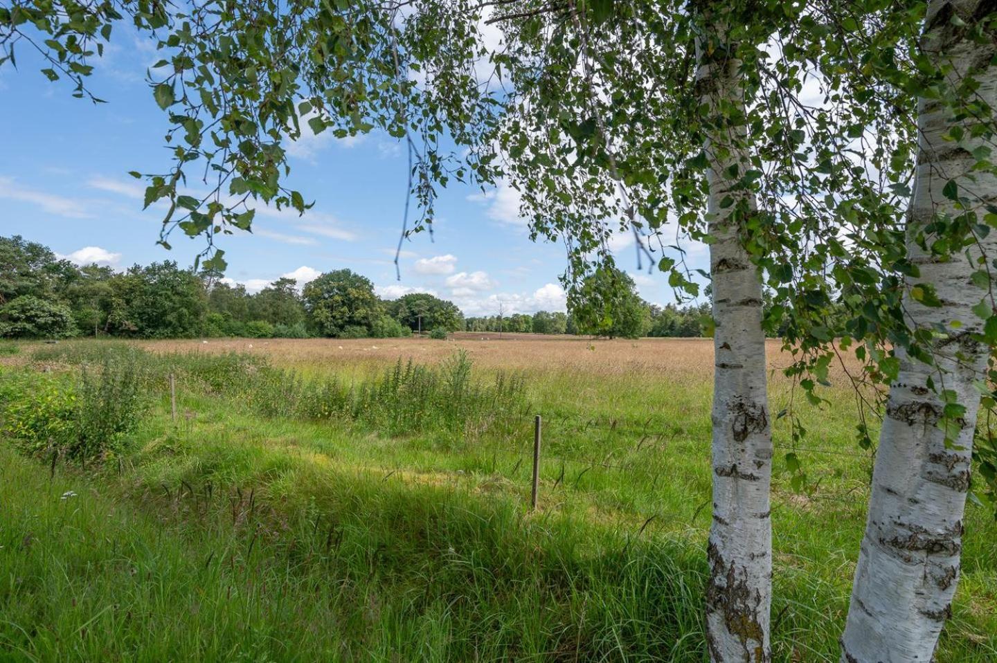 Chalet 42 'Vuursteenberg' Bospark Ijsselheide Zwolle Hattemerbroek Eksteriør billede