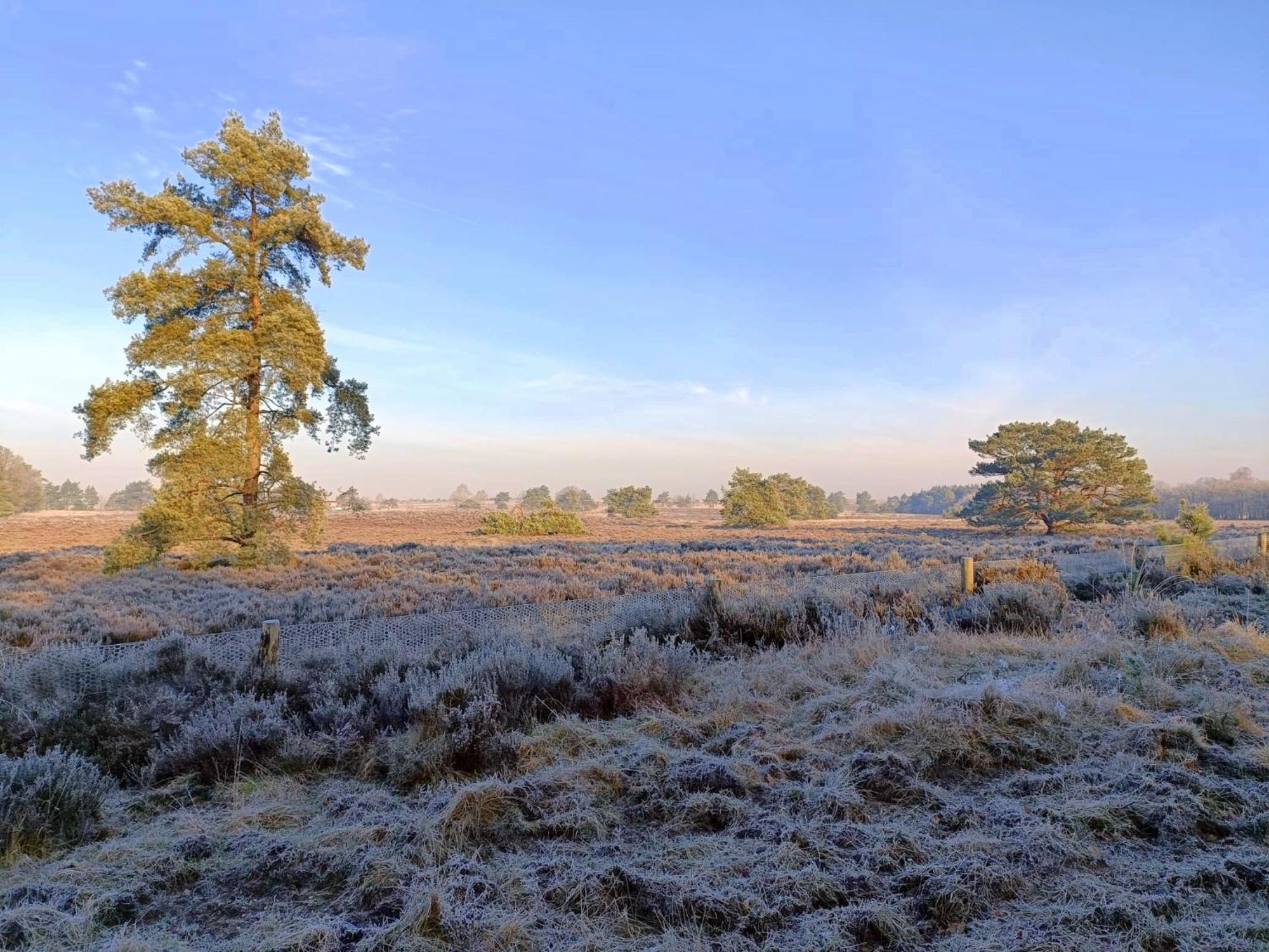 Chalet 42 'Vuursteenberg' Bospark Ijsselheide Zwolle Hattemerbroek Eksteriør billede